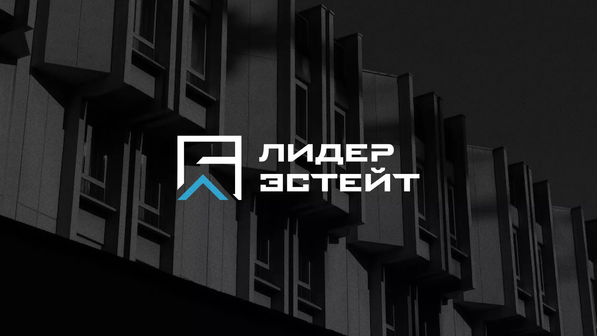 Разработка логотипа агентства недвижимости «Лидер Эстейт» в Верхотурье
